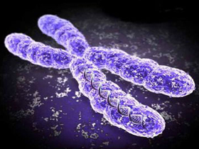 Kromozomlarda kodlu 'ruha dair özellikler' evrimle açıklanamaz