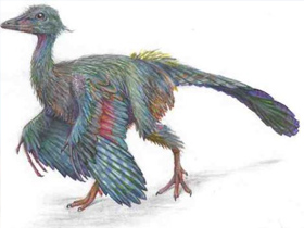 Archaeopteryx"in Kuşların Atası Olduğu İddiası Bir Sahtekarlıktır
