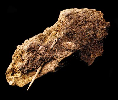 Neandertallerin dikiş iğnesi