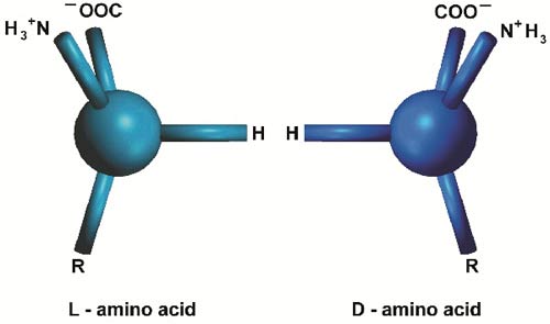 amino asit, izomer