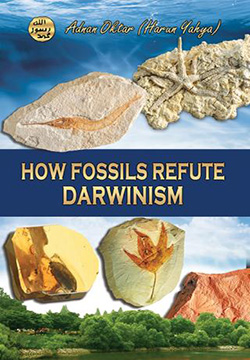 How Fossils Overturned Evolution