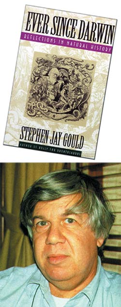 Stephan Jay Gould, racism