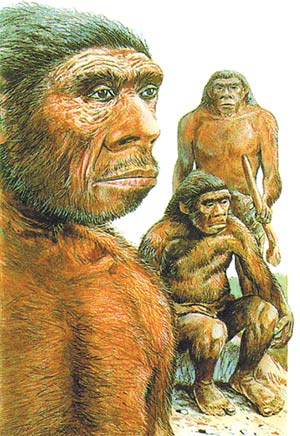 neandertal, imagination of evolutionists