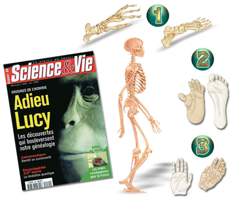 Lucy, Science et Vie
