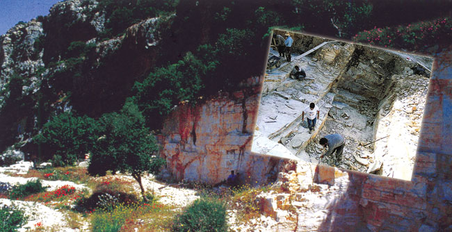 lübnan fosil bölgesi, Haqil