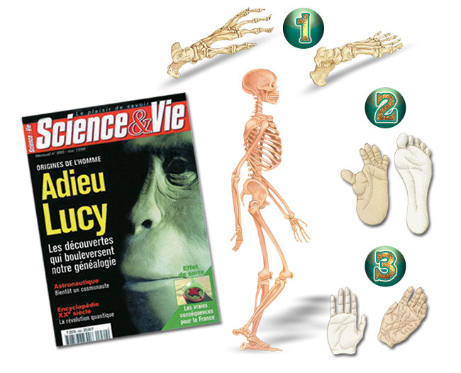 Lucy, Science et Vie