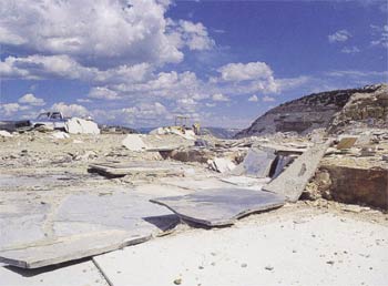 Wyoming'te bir fosil araştırma sahası