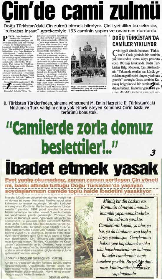 newspaper,East Turkestan