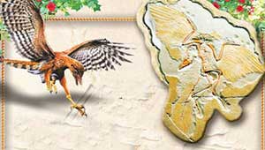 Archaeopteryx drawing and fossil