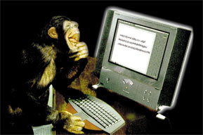  maymun, bilgisayar