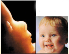 embryo, baby, face