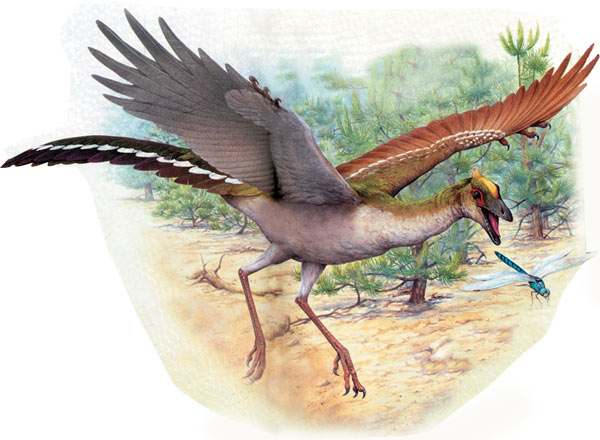 Archaeopteryx rekonstrüksiyon resim