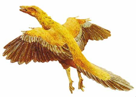 Hayali Archaeopteryx