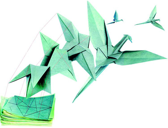 origami, proteins