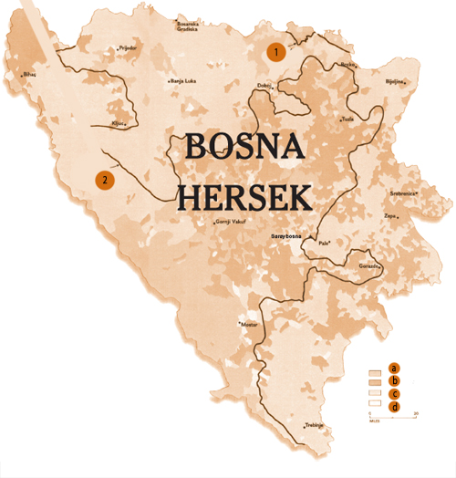 Bosna-Hersek harita, 1991 nüfus sayımı