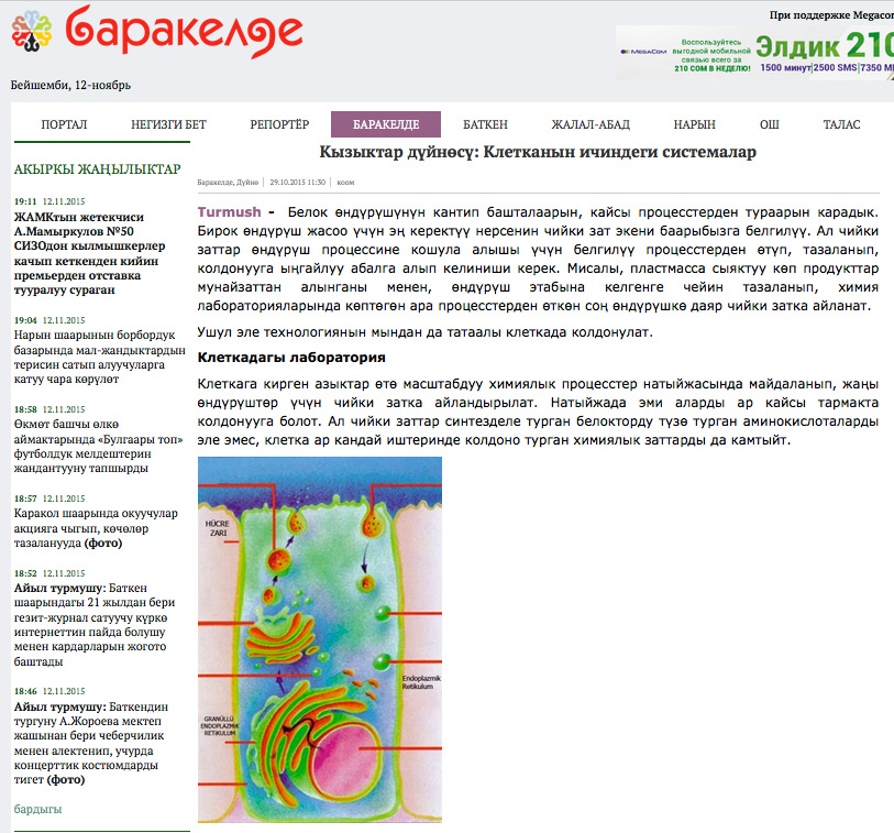 Hücrenin İçindeki Sistemler