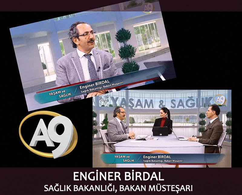 Enginer Birdal, Sağlık Bakanlığı, Bakan Müşaviri	