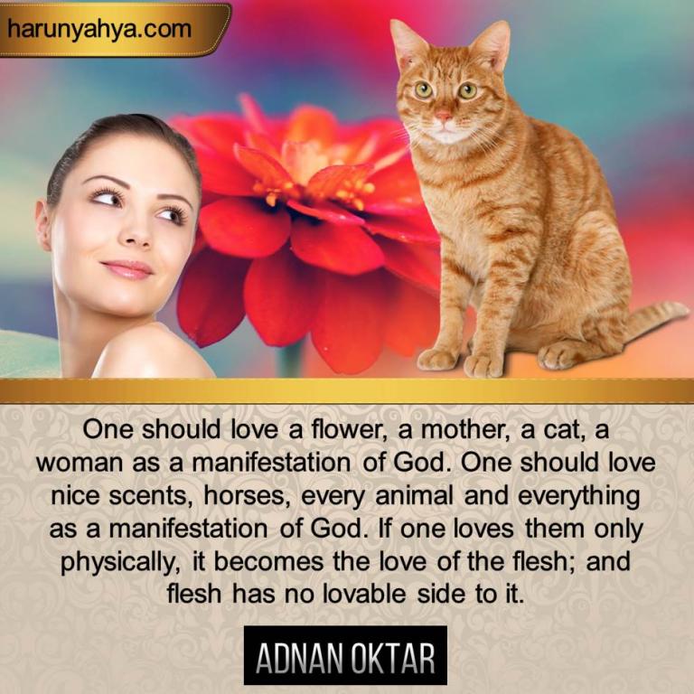 Adnan Oktar Says -High Quality Life, Art, Music ...-