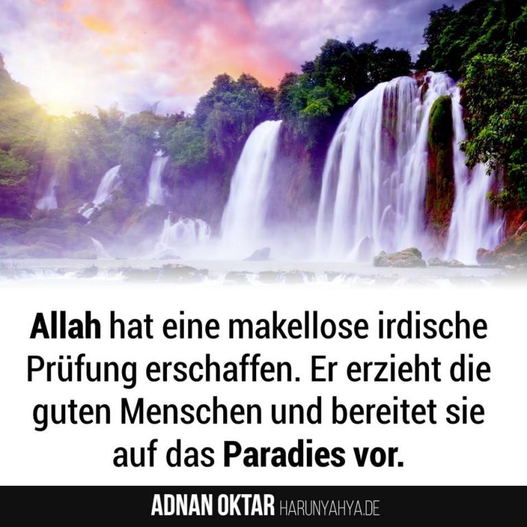 Adnan Oktar Sagt