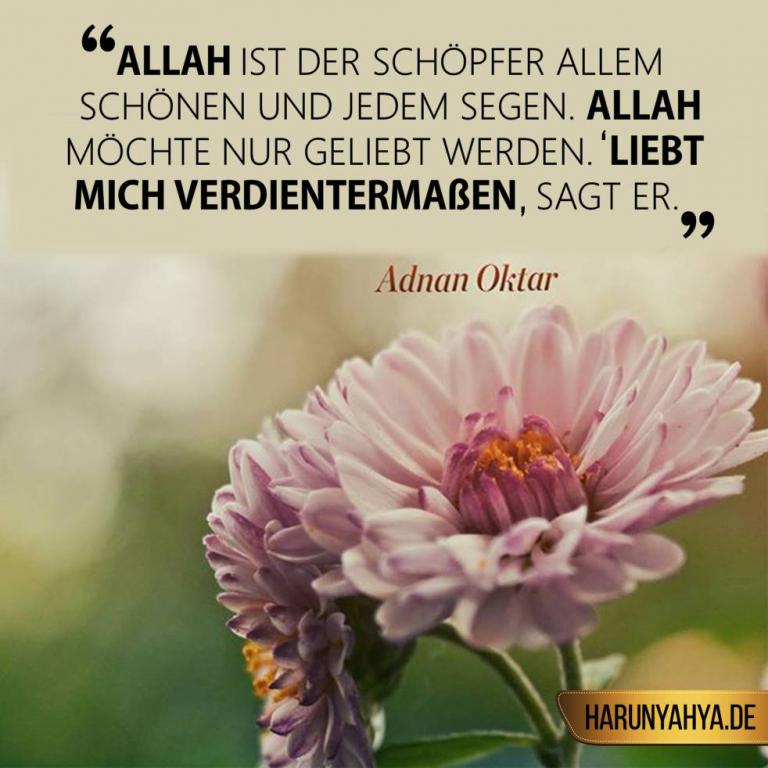 Adnan Oktar Sagt