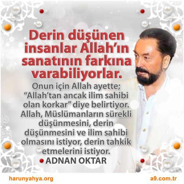 Derin düşünen insanlar Allah'ın sanatının farkına varabiliyor.