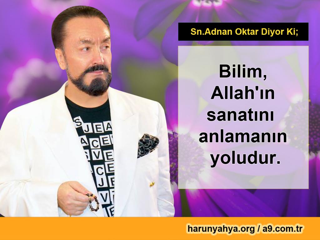 Bilim, Allah'ın sanatını sanatını anlamanın yoludur.