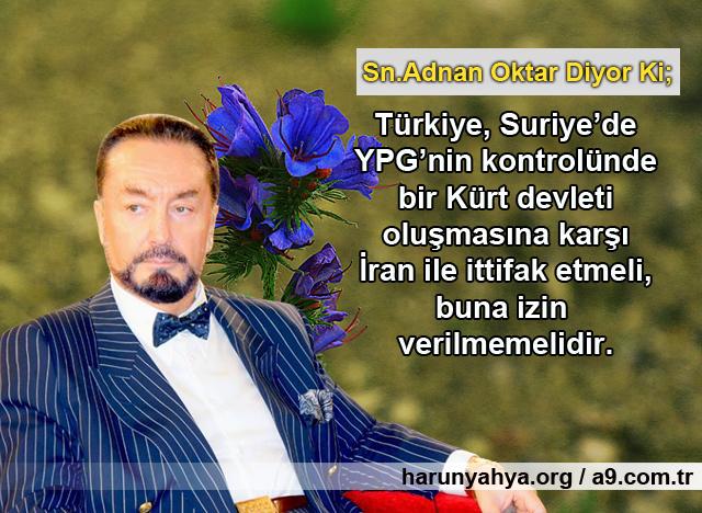 Türkye, Suriye'de YPG'nin kontrolünde bir Kürt devleti oluşmasına karşı İran ile ittifak etmeli, buna izin verilmemelidir.