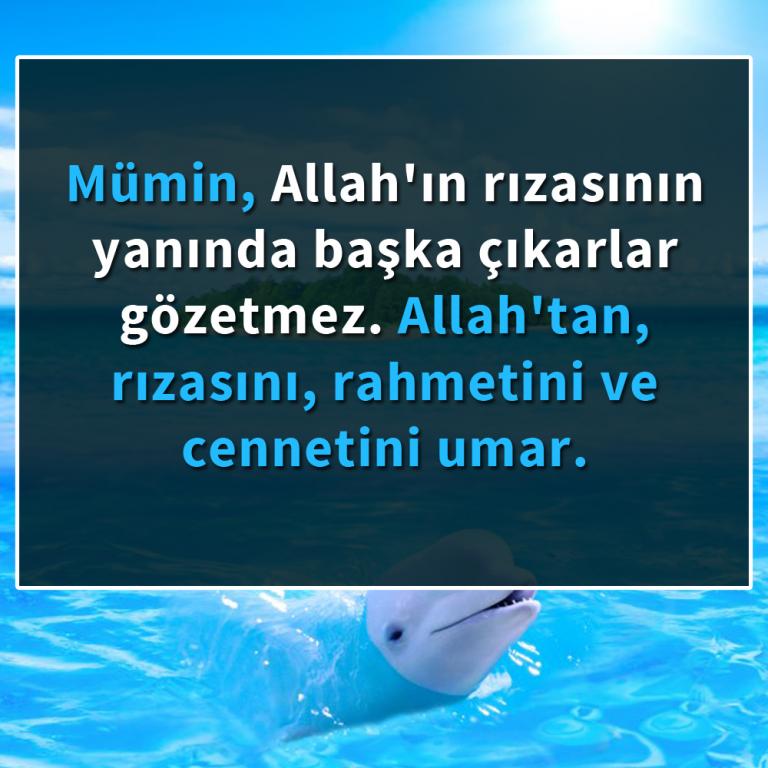 Allah için yaşamak