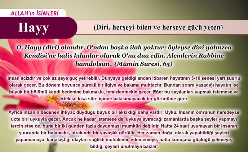 Hayy (Diri, herşeyi bilen ve herşeye gücü yeten)