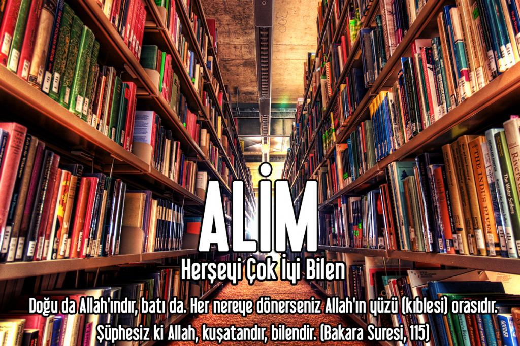 5-ALİM - Herşeyi Çok İyi Bilen