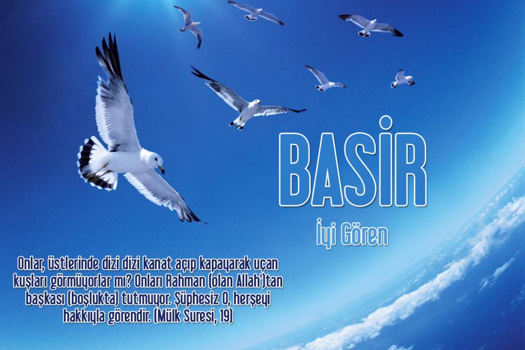 13-BASİR - İyi Gören