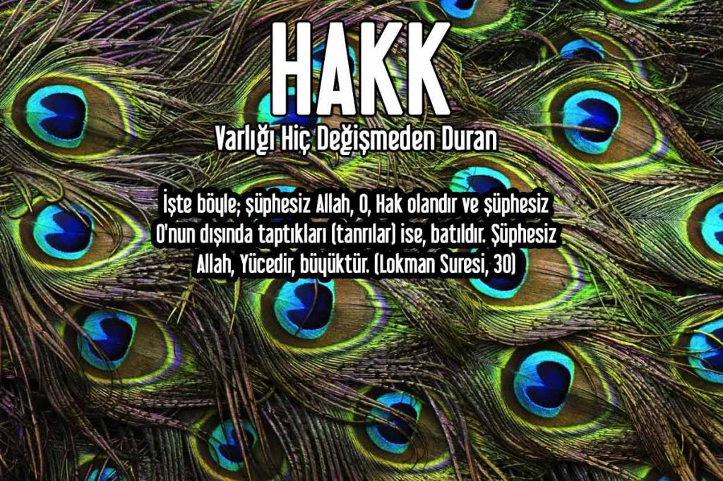 37-HAKK - Varlığı Hiç Değişmeden Duran