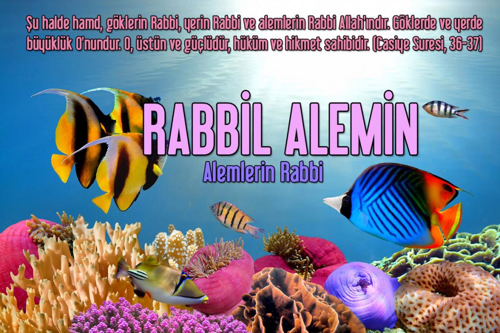 97-RABBİL ALEMİN - Alemlerin Rabbi