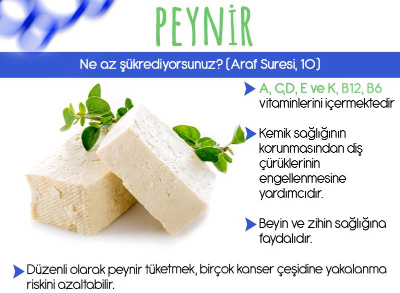 PEYNİR