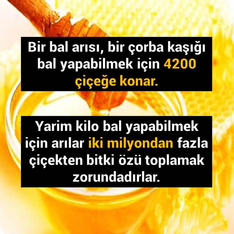 Bunları Biliyor Musunuz?