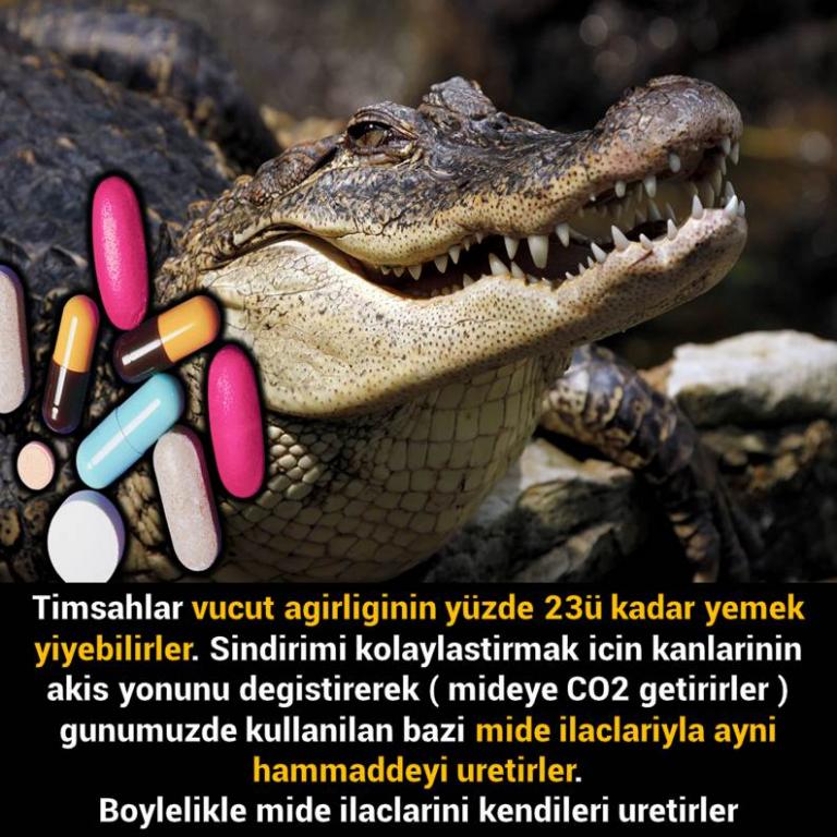 Bunları Biliyor Musunuz?