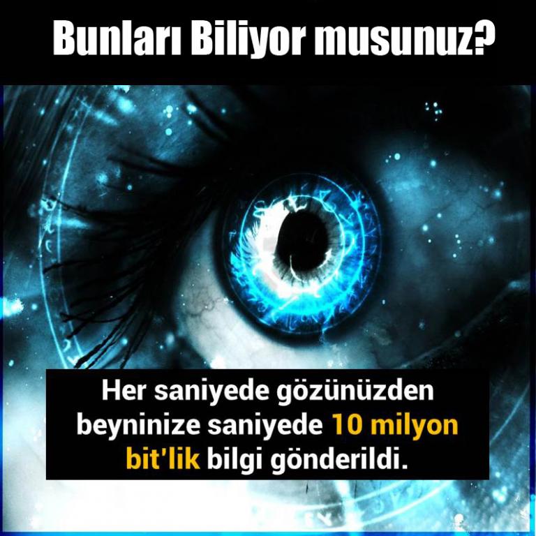 Bunları Biliyor Musunuz?