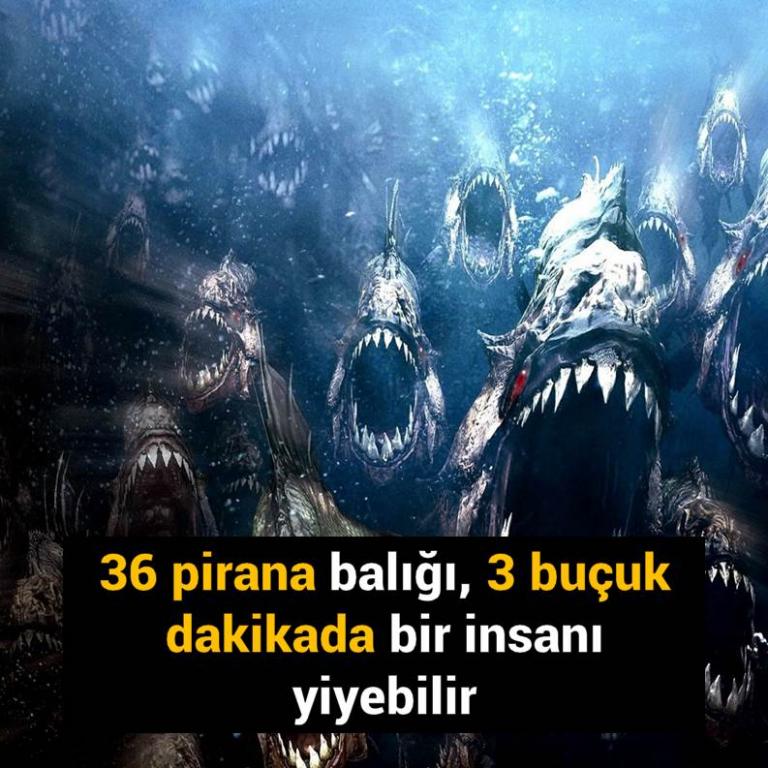 Bunları Biliyor Musunuz?