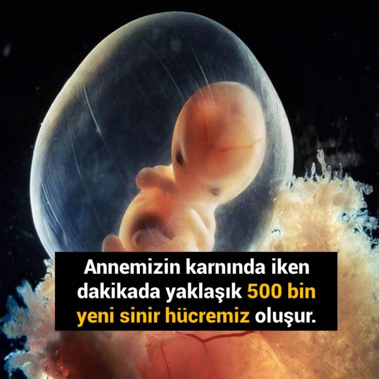 Bunları Biliyor Musunuz?