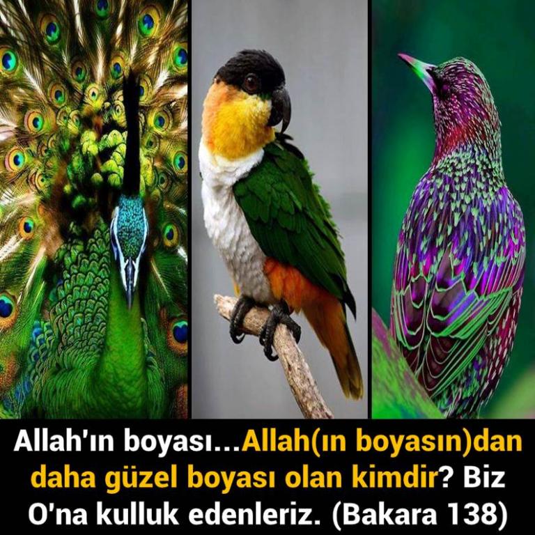 Bunları Biliyor Musunuz?