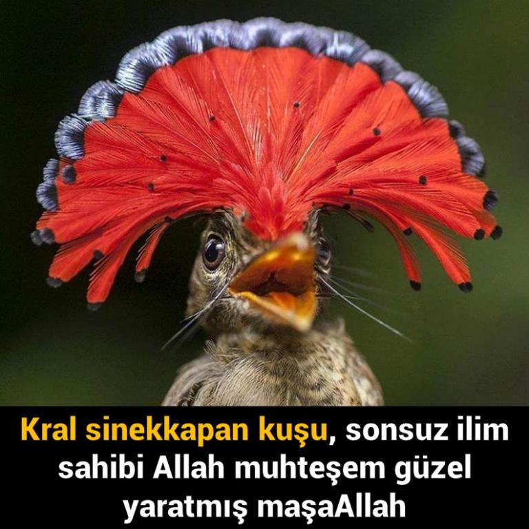 Bunları Biliyor Musunuz?