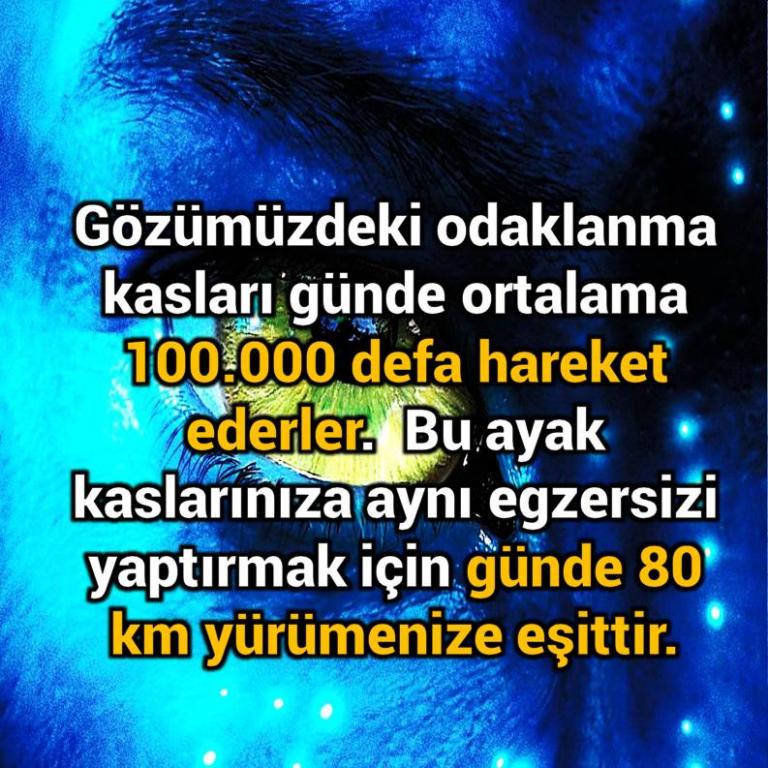 Bunları Biliyor Musunuz?