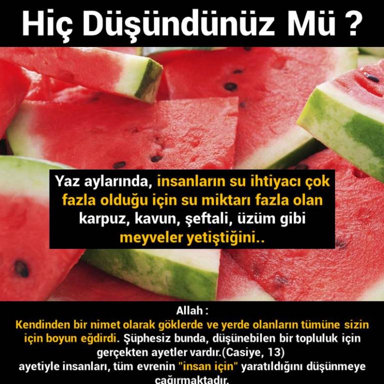 Bunları Biliyor Musunuz?