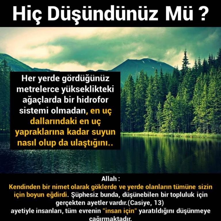 Bunları Biliyor Musunuz?