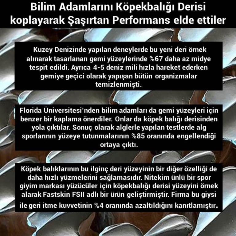 Bunları Biliyor Musunuz?