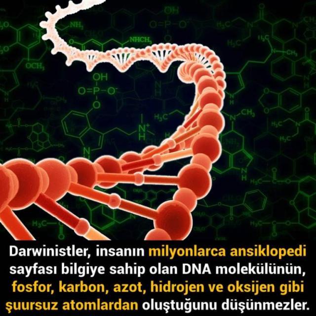 Darwinistler Neleri Düşünmezler