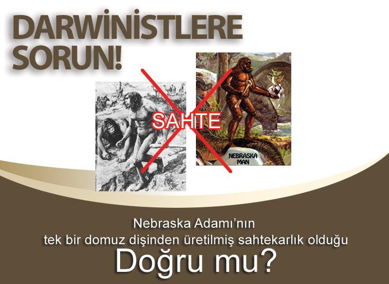 Evet doğru.