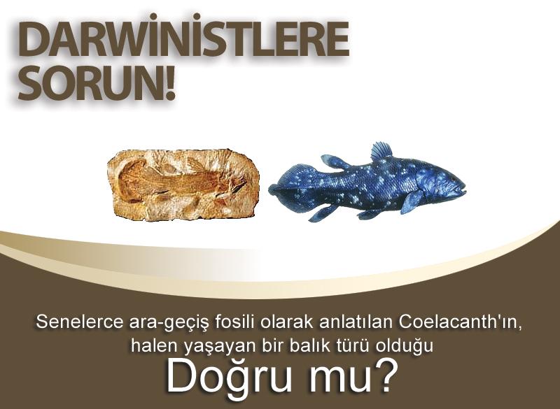 Evet doğru. 