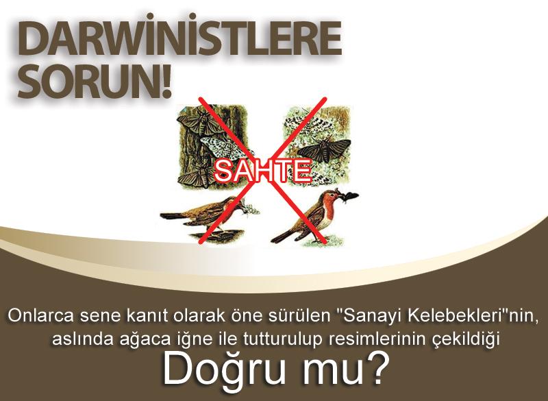 Evet doğru. 