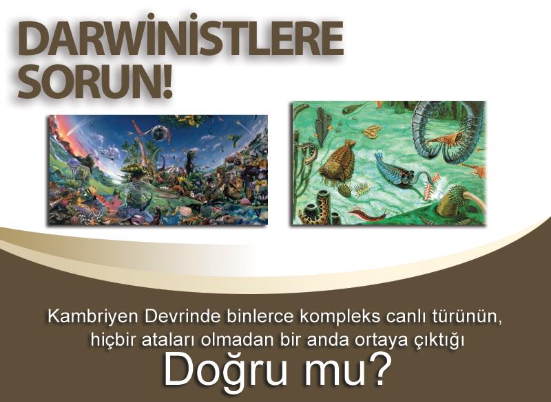 Evet doğru. 